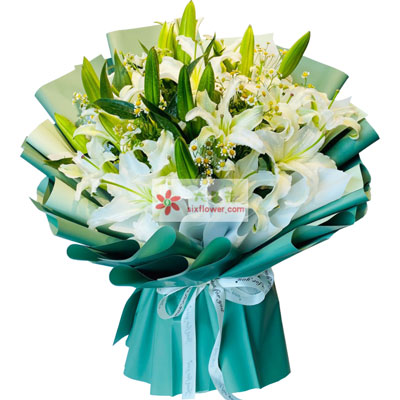 忻州8支白色多头百合洋甘菊，如潮的思念