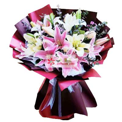 忻州8支百合花，天天开心